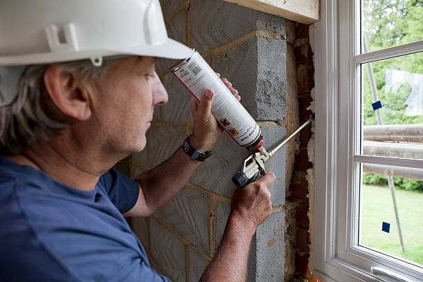 Best Insulation Inspection Services  in Cottonwood, MN